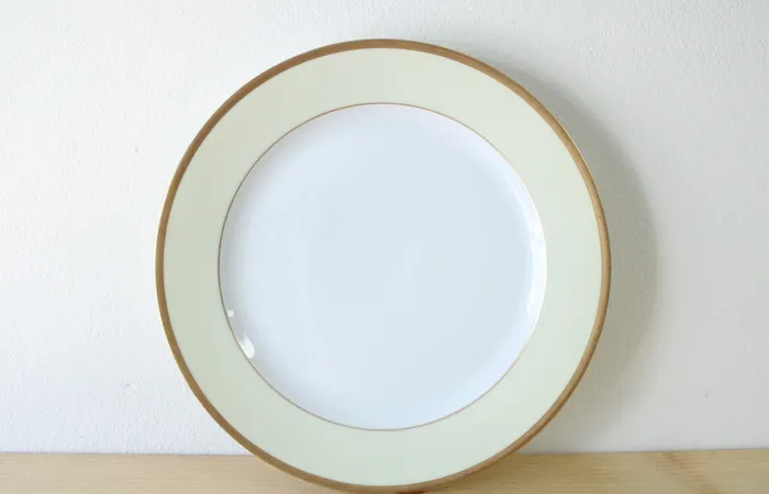 Bavaria Earrings Bavaria Tirschenreuth Plymouth 7578 Dinner Plate 10