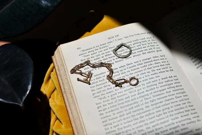Bracelets RACHEL LYNN CHICAGO Yellow Gold Filled Chain Toggle Clasp Bracelet