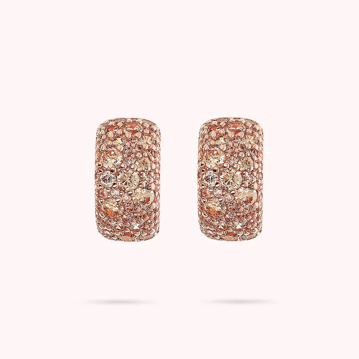 Bronzallure Earrings Orecchini a Cerchio in Pav di Cubic Zirconia
