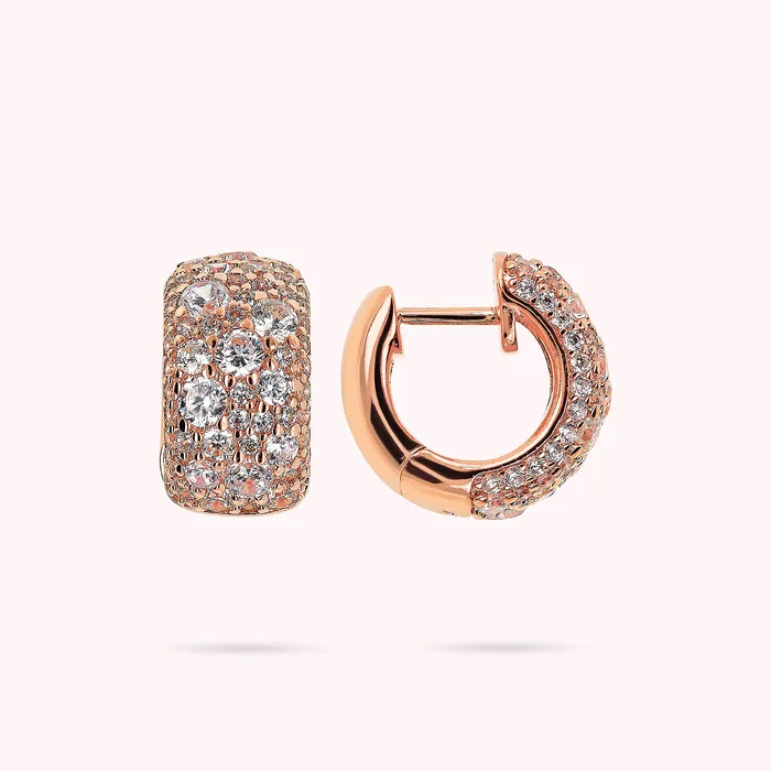 Bronzallure Earrings Orecchini a Cerchio in Pav di Cubic Zirconia