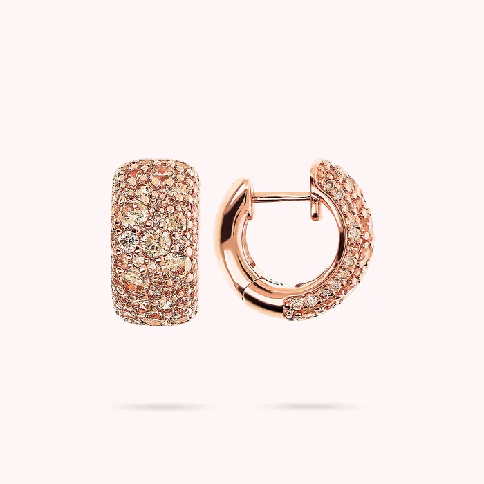 Bronzallure Earrings Orecchini a Cerchio in Pav di Cubic Zirconia