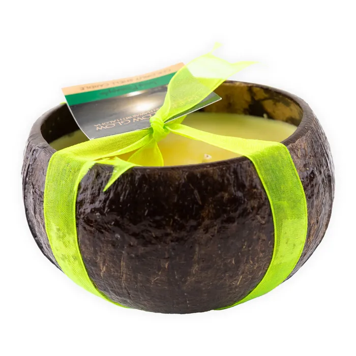 BUBBLESHACK Earrings Bungalow Glow Juicy Pineapple Coconut Shell Soy Candle