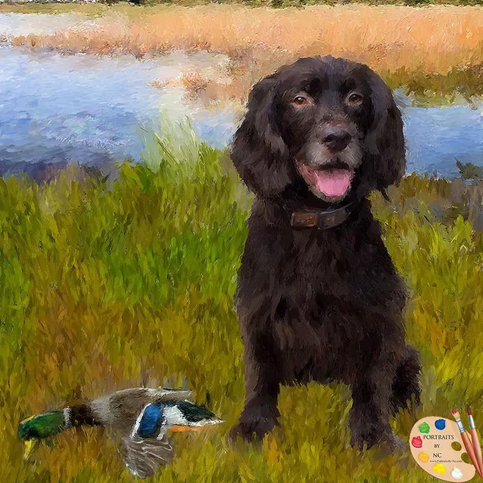 Custom Pet Portrait Dog Portrait Water Spaniel Digital Portrait Portraits by NC Necklaces