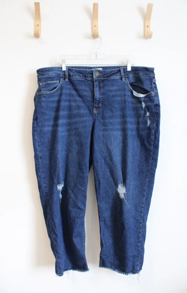 Earrings Ava Viv Ava Viv Distressed Cropped Jeans 22W