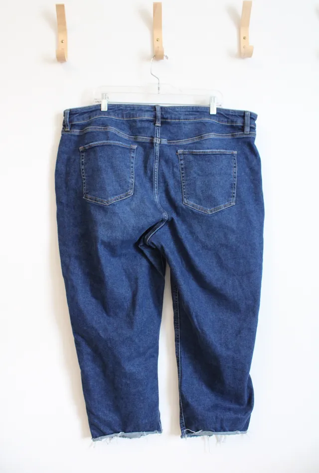 Earrings Ava Viv Ava Viv Distressed Cropped Jeans 22W