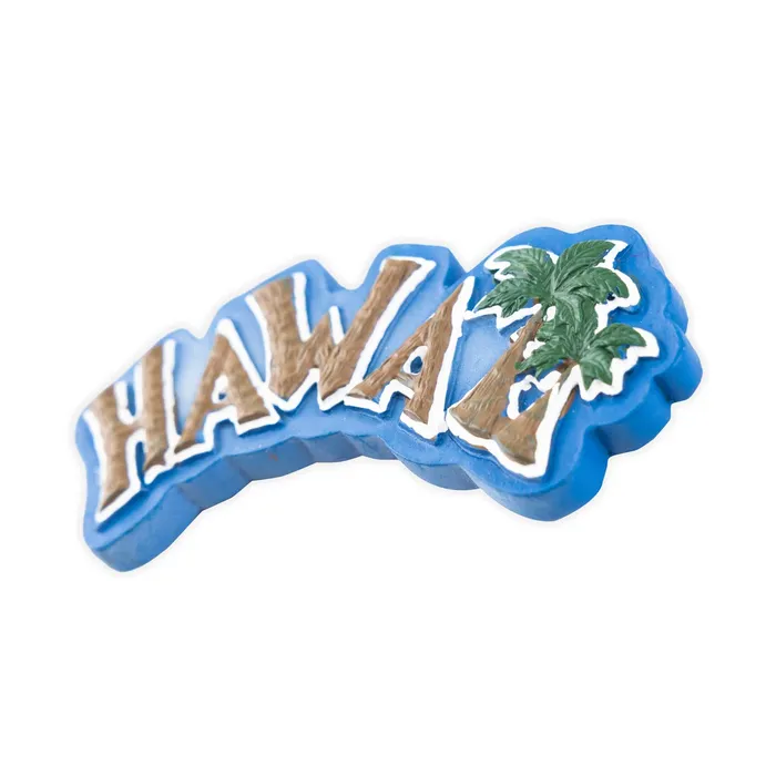Earrings MADDENCORP Magnet HandPainted Hawaii Palms