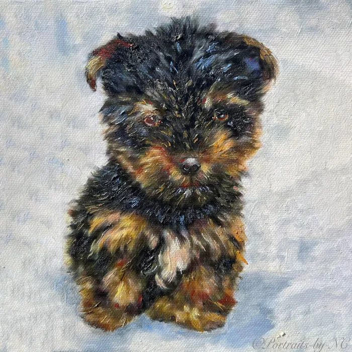 Earrings Yorkie Puppy Dog Oil Portrait Portraits by NC