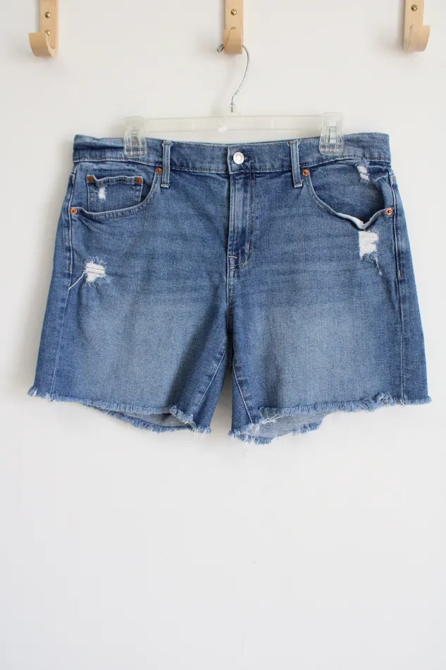Gap Earrings Gap Distressed Jean Shorts 12