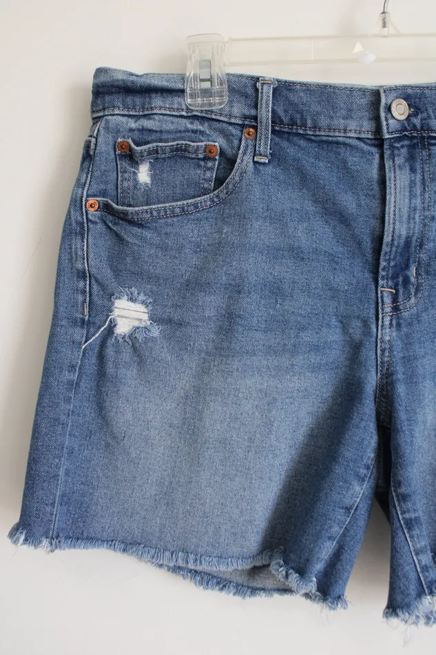 Gap Earrings Gap Distressed Jean Shorts 12