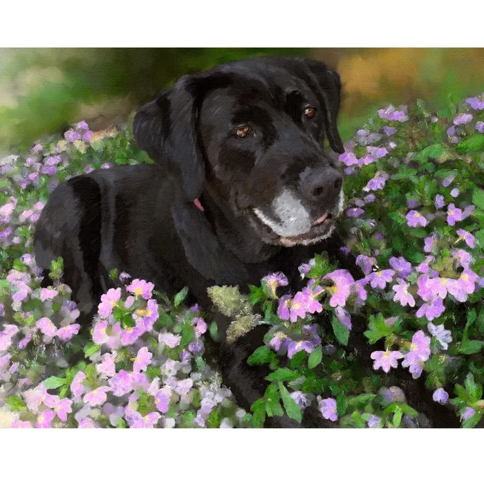 Labrador Mix Custom Painted Oil Portrait Portraits by NC Necklaces