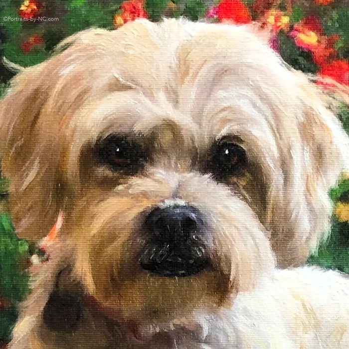Lhasa Apso Poodle Mix Dog Oil Portrait Portraits by NC Earrings