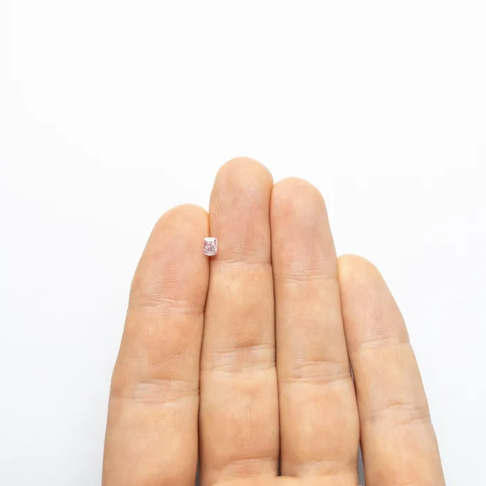 Misfit Diamonds Earrings 030ct 443x339x227mm GIA SI2 Fancy Intense PurplePink Cushion Brilliant 2416401