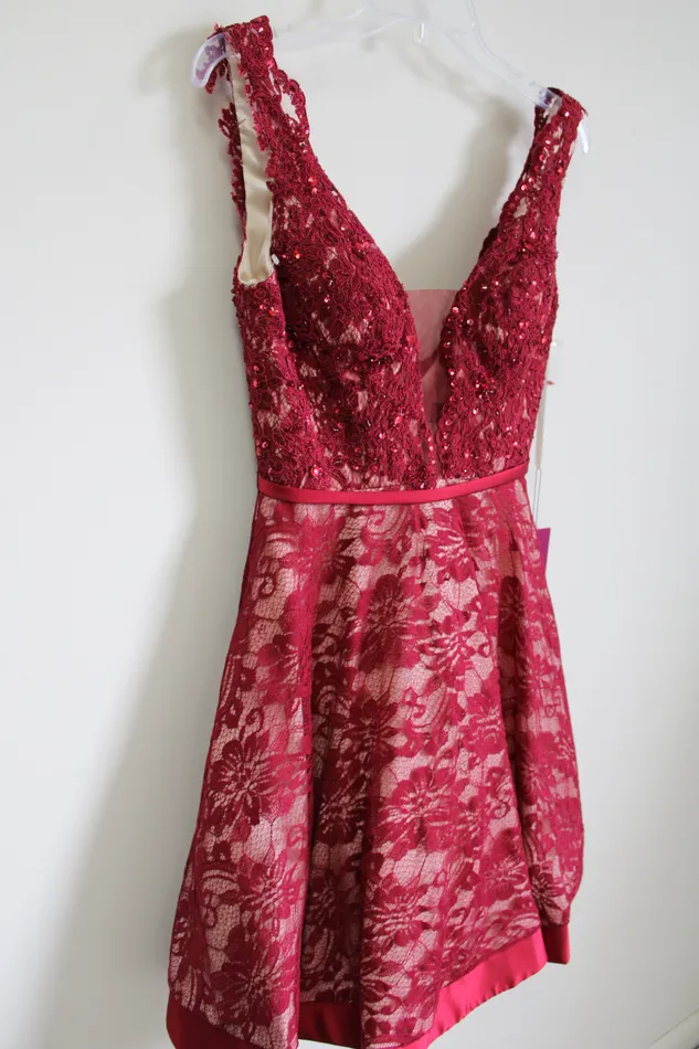 NEW Abby Paris Red Sequined Lace Dress 4 Abby Paris Earrings
