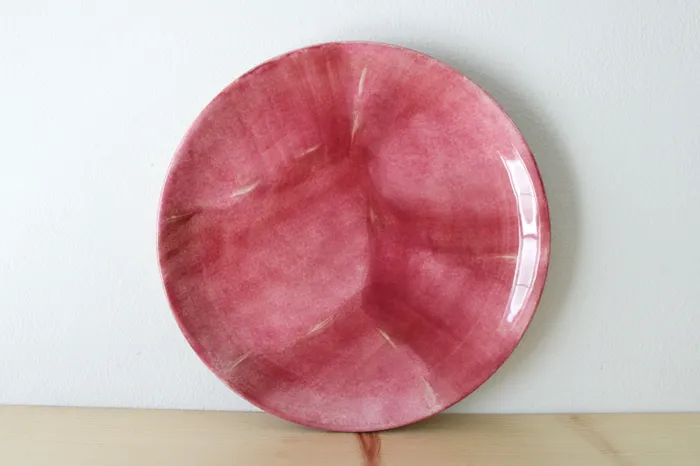 Pfaltzgraff Pfaltzgraff Flower Market Red Dinner Plate 11 Earrings