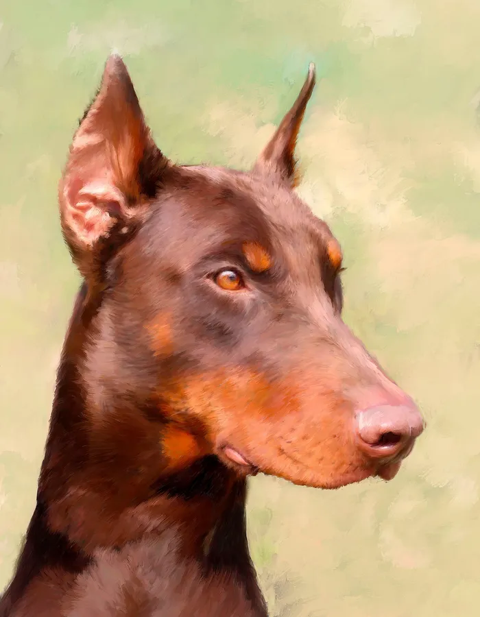 Portraits by NC Earrings Doberman Dog Oil Portrait