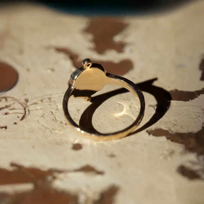 Rings Liberi Vivas Diamond Signet Ring COMMON ERA