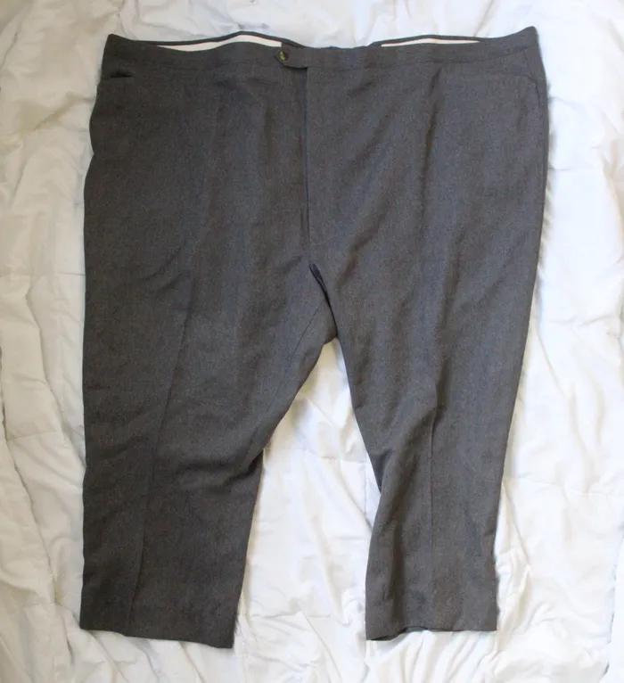 Sansabelt Earrings Sansabelt Gray Pants 64X38