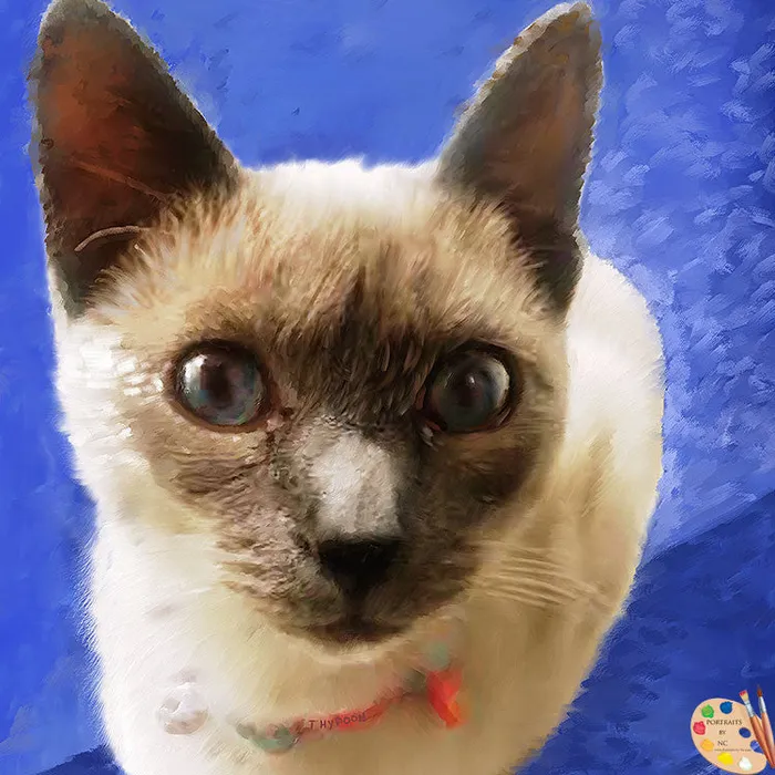 Siamese Cat Digital Portrait Portraits by NC Necklaces