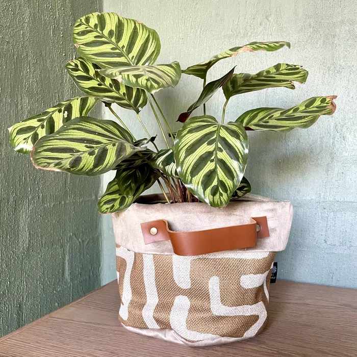 Soft Pot with Leather Handles Nola and La Serano HJT Necklaces